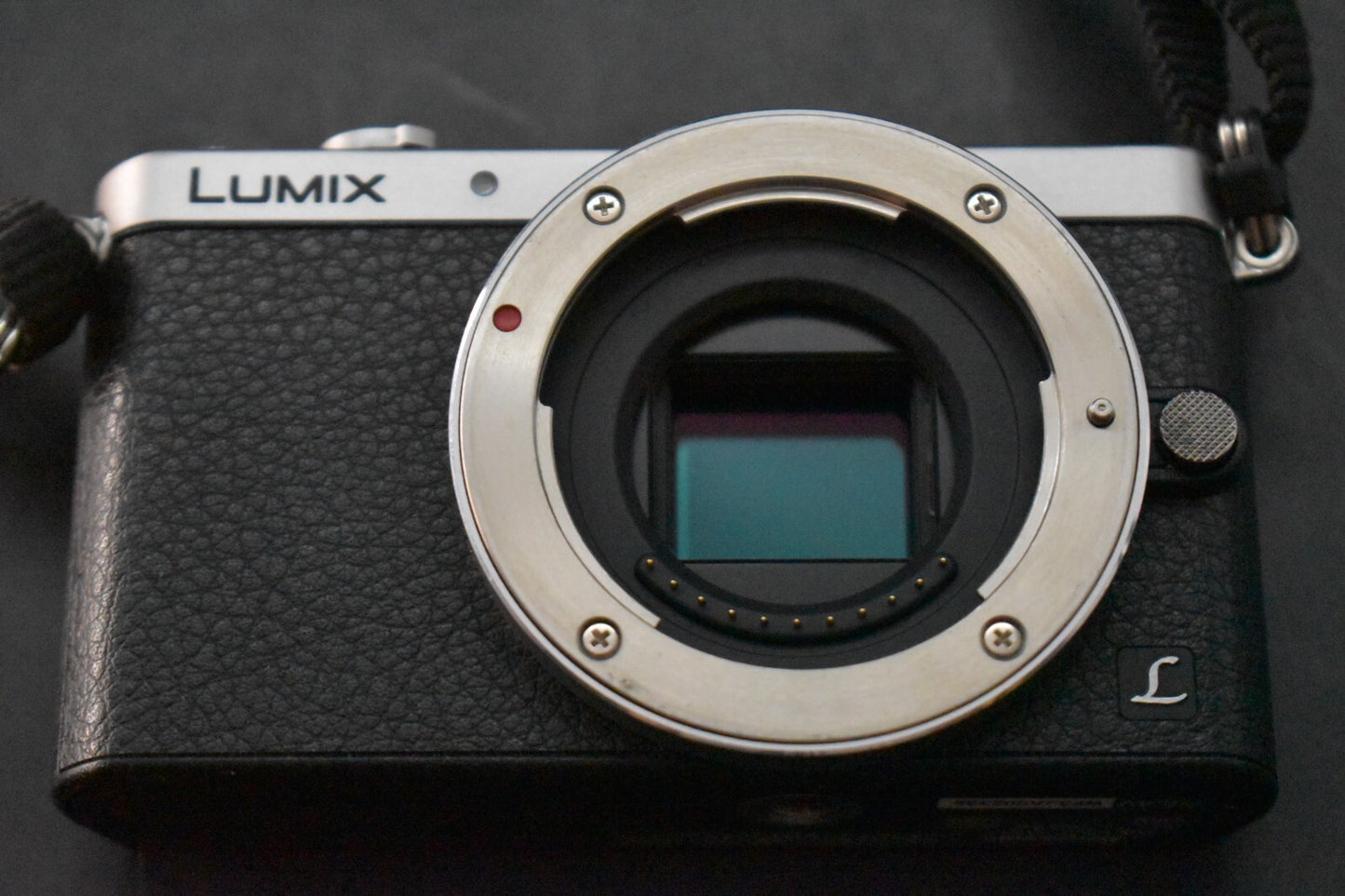 [1 Yr Warranty] English OK! Panasonic LUMIX DMC-GM1 Digital Camera Silver 6104