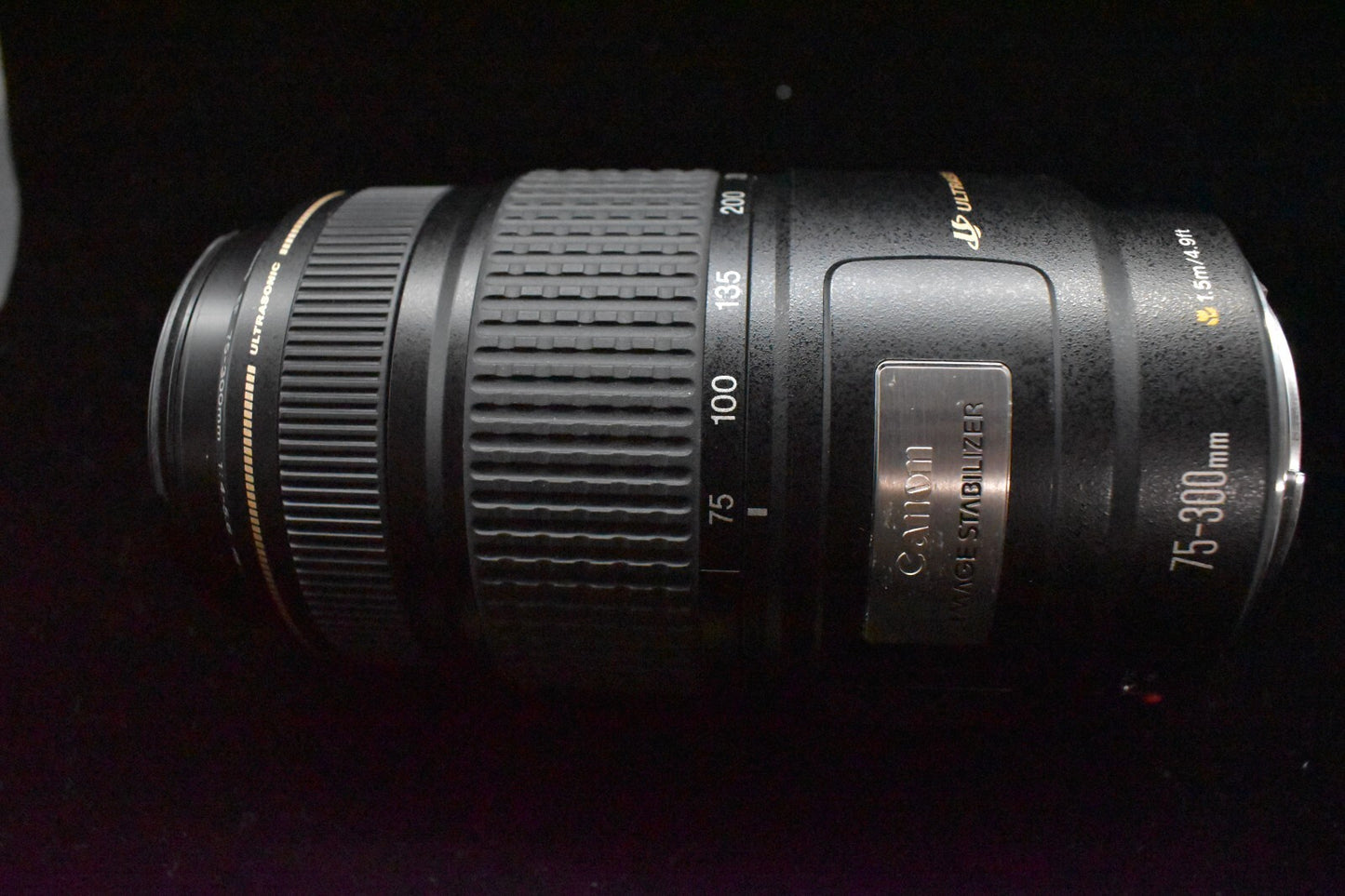 [1 Yr Warranty] Canon EF 75-300mm f/4-5.6 IS USM Telephoto Zoom Lens 6734