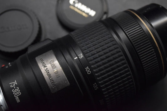 Canon EF 75-300mm f/4-5.6 IS USM Telephoto Zoom Lens from JAPAN 【MINT-】4233
