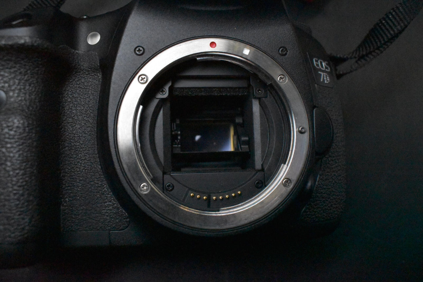 [1 Yr warranty] Canon EOS 7D DSLR Digital Professional Camera From Japan 6192