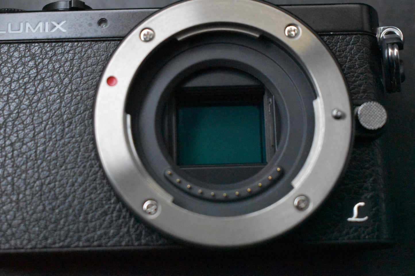 [1 Yr Warranty] English OK! Panasonic LUMIX DMC-GM1 Digital Camera Black  6353