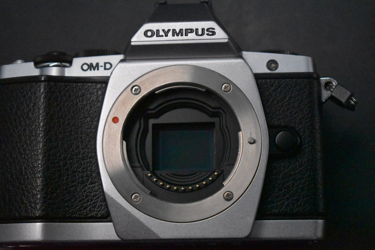 [1 Yr Warranty] Olympus OMD E-M5 Mirrorless Digital Camera with Lens Silver 5830