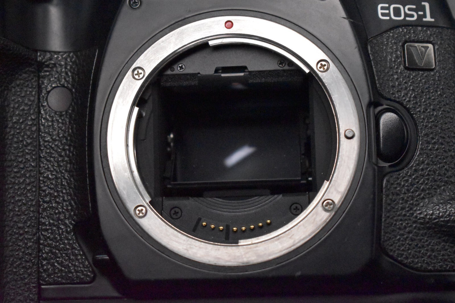 [1 Jahr Garantie] Canon EOS-1V HS BP-E2 analoge Spiegelreflexkamera 35 mm JAP...