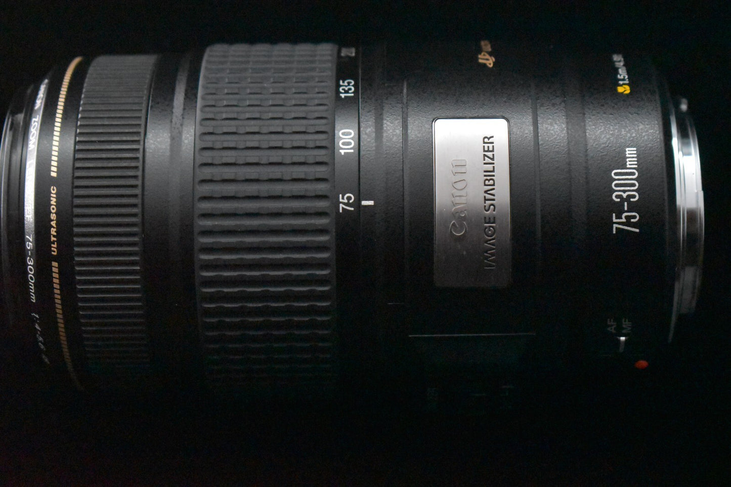 [1 Yr Warranty] Canon EF 75-300mm f/4-5.6 IS USM Telephoto Zoom Lens 6828