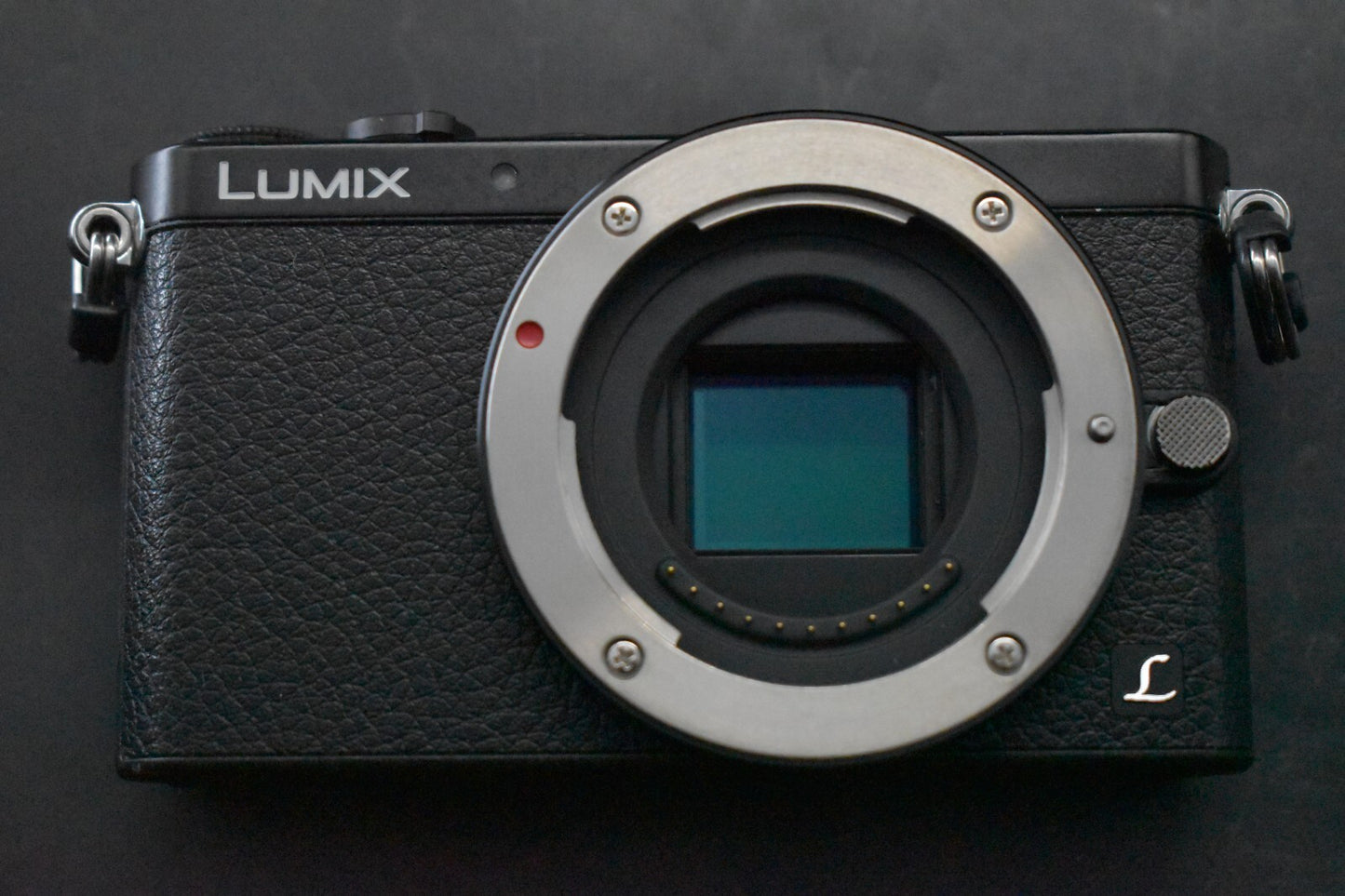 [1 Yr Warranty] English OK! Panasonic LUMIX DMC-GM1 Digital Camera Black  6353
