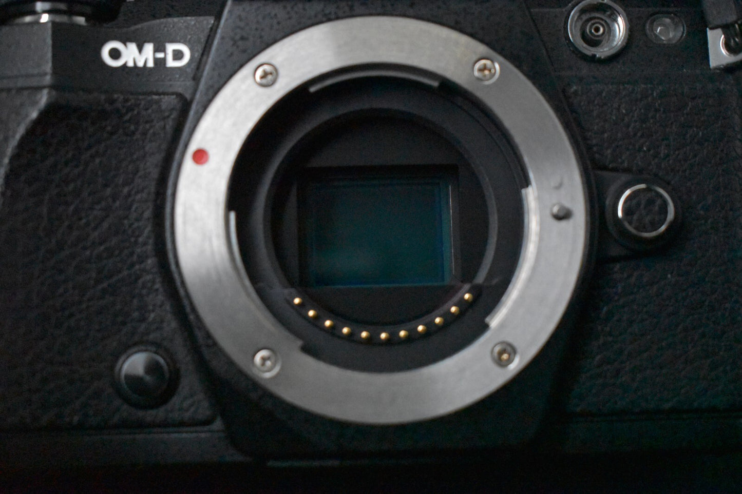 [1 Yr Warranty] Olympus OM-D E-M5 Mark II 16.1MP Digital SLR Camera Black 6361