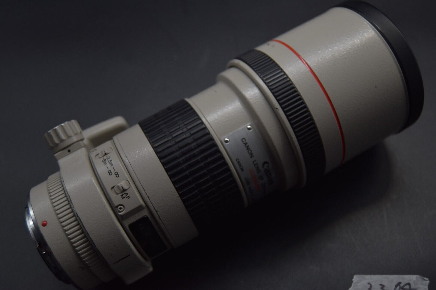 Canon EF 300mm f4 L USM Telephoto AF SLR Lens EF Mount From JAPAN 【N MINT】#3304