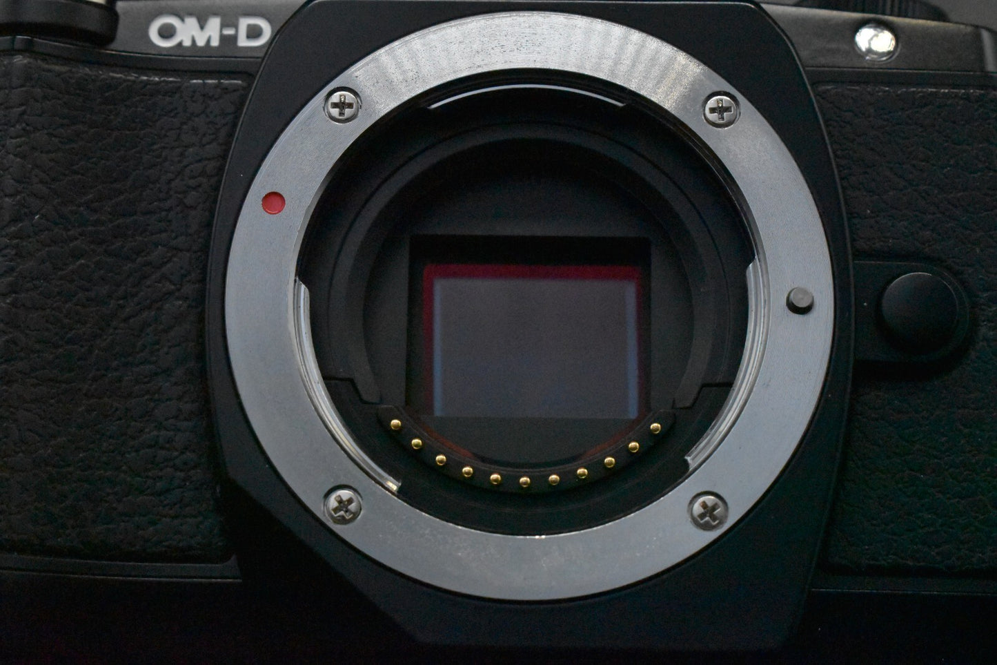 [1 Yr Warranty] Olympus OM-D E-M10 16.1MP Digital SLR Camera Black Japan 6509