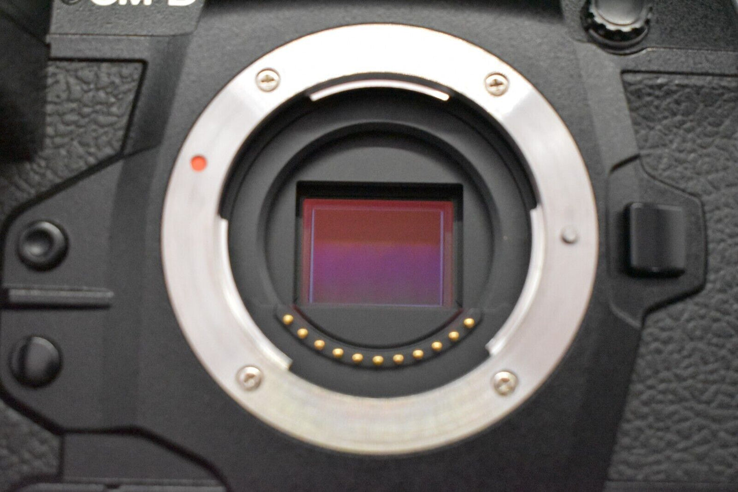 [1 Yr warranty] Olympus OM-D E-M1X 20.4MP Digital SLR Camera 5807