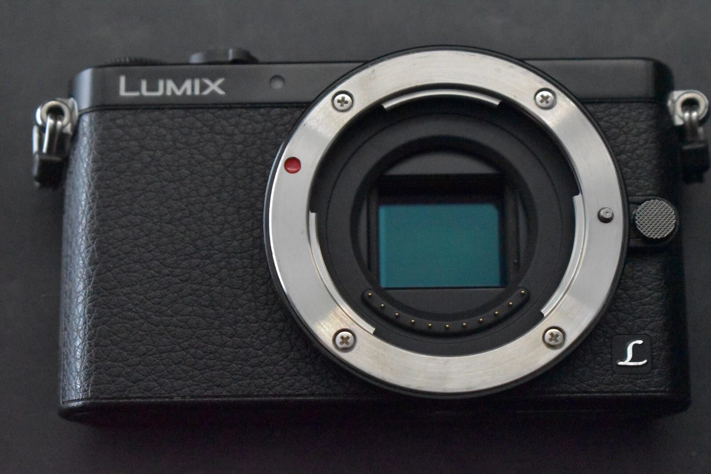[1 Yr Warranty] English OK! Panasonic LUMIX DMC-GM1 Digital Camera Black  6310